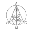 The circumcircle of Delta ABC with angle A = 60^(@) has its centre at O and radius equal to 2 cm . Circle centered at O(1) touches the circumcircle and also OB and OC. The radius of the smaller circle (in cm) is