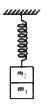 Two masses m(1) and m(2)  are suspended w together by a light spring of spring constant k as shown in figure. When the system is in equilibrium, the mass m(1)  is removed without disturbing the system. As a result of this removal, mass m(2) performs simple harmonic motion. For this situation mark the correct statement(s).