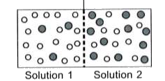 Study the given figure carefully. In which direction the net movement of water will take place?