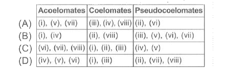 A list of animals (i-vii) is given. Classify them as acoelomates, coelomates and pseudocoelomates and select the correct option.     (i) Adamsia (ii) Wuchereria (iii) Nereis (iv) Earthworm (v) Planaria (vi) Ascaris (vii) Liver fluke (viii) Scorpion