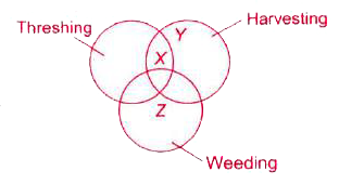 Refer to the given Venn diagram and identify X, Y and Z.