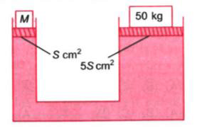 The diagram shows a hydraulic system in equilibrium. The cross-sectional areas of the smaller piston and the larger piston are S cm ^(2) and 5 S cm^(2) respectively.       The mass M required to balance the load of 50 kg is
