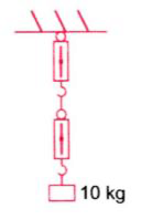 A block of mass 10 kg is suspended through two light spring balances as shown in figure. Then (Neglect the mass of spring balance.)
