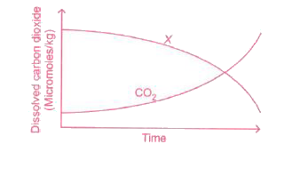 As proved by many studies greenhouse effect is rapidly increasing because of increase in concentration of carbon dioxide. In the given graph the increase in carbon dioxide concentration is shown. What could be X corresponding to it?        (i) Rate of photosynthesis in plants    (ii) pH of the oceans    (iii) Water level of ocean    (iv) Average global temperature of Earth