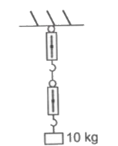 A block of mass 10 kg is suspended through two light spring balances as shown in figure. Then        (Neglect the mass of spring balance.)