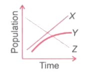 Small populations of three types of animals X, Y and Z were kept in captivity. Plenty of plants were present in that area. The change in the population of these organisms with time was plotted in the graph as shown here.         Which of the following conclusion is incorrect regarding their eating habits?