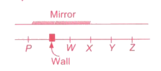 A girl stands at the point P as shown in figure. Four of her friends are standing at the points w, x, y and Z. The girl is unable to see others directly due to a wall separating her and the other girls. By means of a mirror placed as shown, how many of the four can she see ?