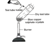 Observe the given figure carefully.  Which of the following observations are correct ?  I. A white coloured residue is left behind in  the test tube. II. Water droplets are observed on the upper cooler part of the test tube. III. On adding water to the residue, the colour  changes to green.