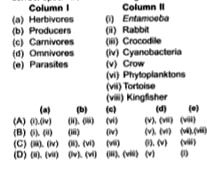 Match column with column II and select the correct option from the codes given below.