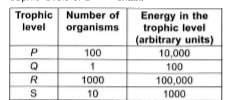 The table below lists some information about the trophic levels of a food chain.