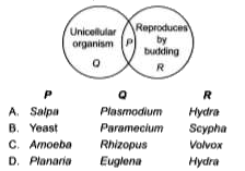 Refer to the given Venn diagram and select the correct option regarding it.