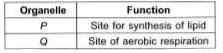 Identify cell organelles P and Q in the given table and select the correct statement regarding them.