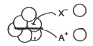 एक ठोस Ax में A^+ आयन पर x^- आयनों की व्यवस्था चित्र में दी गई है। यदि का अर्द्धव्यास 250 pm है, तब A^+  का अर्द्धव्यास होगा