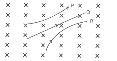 तीन कणो P,Q  तथा R एक समान चुम्बकीय क्षेत्र में  गतिशील  है जिनकी गतियों  के पथ  चित्र में दर्शाये  है।  क्षेत्र  कागज   के तल के  लम्बवत अंदर की और  है।  प्रत्येक  कण के आवेश की प्रकृति  ज्ञात कीजिये।