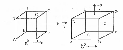 5 cm  के  बारह चालक  तारों  को  जोड़कर  एक घन  बनाया  गया है  जो   0.05 T   के  चुंबकीय  क्षेत्र  में    5 m//s   के  वेग  से  गति  कर  रहा है|          (i)  यदि  यह  चुंबकीय  क्षेत्र  की  दिशा  में  गति  करे  तो  घन  की  प्रत्येक  भुजा में प्रेरित  वि.  व.  बल  ज्ञात   करो       (ii )  यदि  यह  चुम्बकीय  क्षेत्र  की दिशा  के  लंबवत   गति  करे  तो  घाट  की प्रत्येक  भुजा  में  प्रेरित  वि. व.  बल  ज्ञात  करो  |