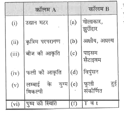 निम्नलिखित स्तंभों का मिलान करें