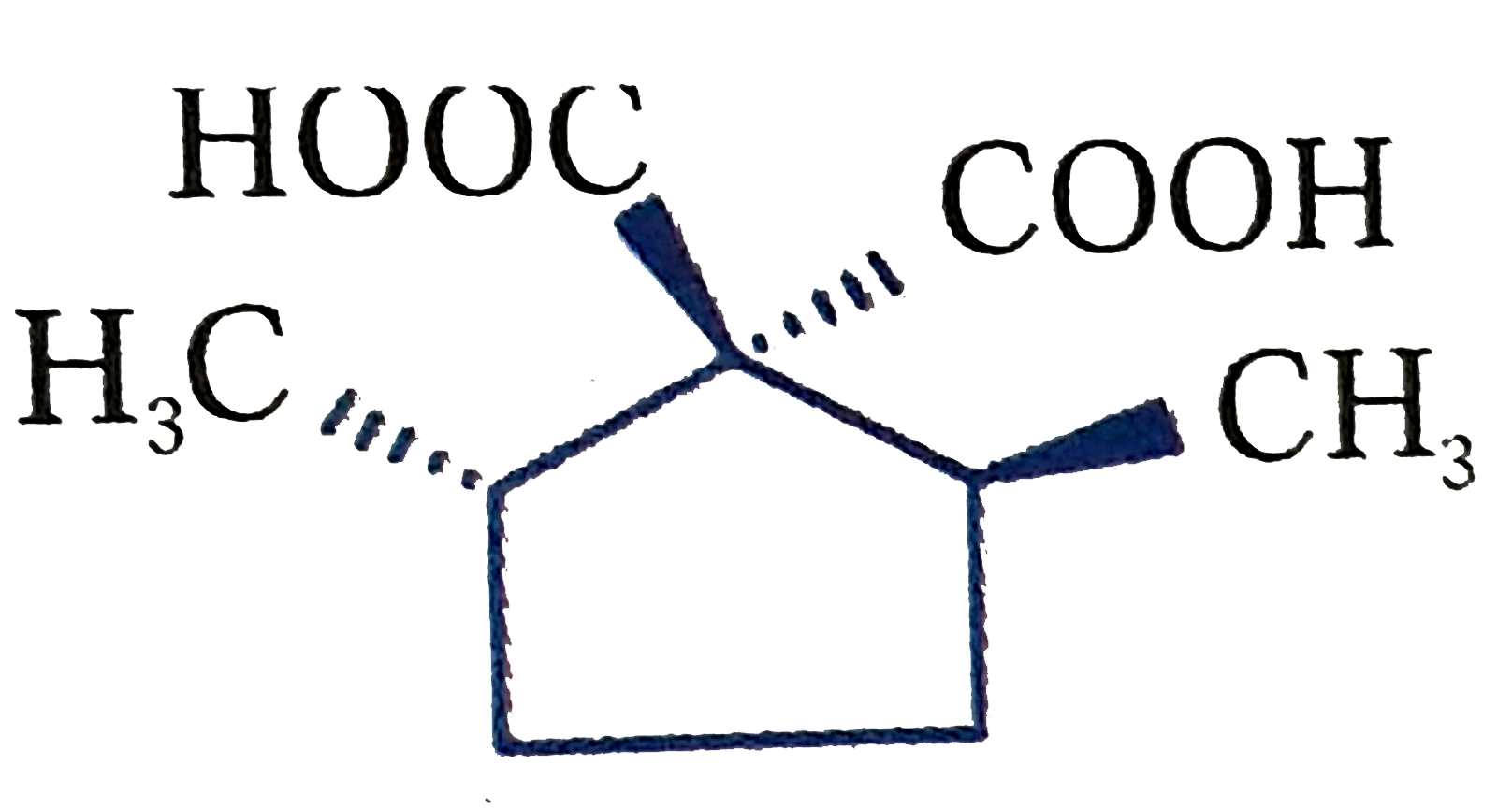 Find the total number of products obtained when      Undergoes decarboxylation (neglect the CO2)