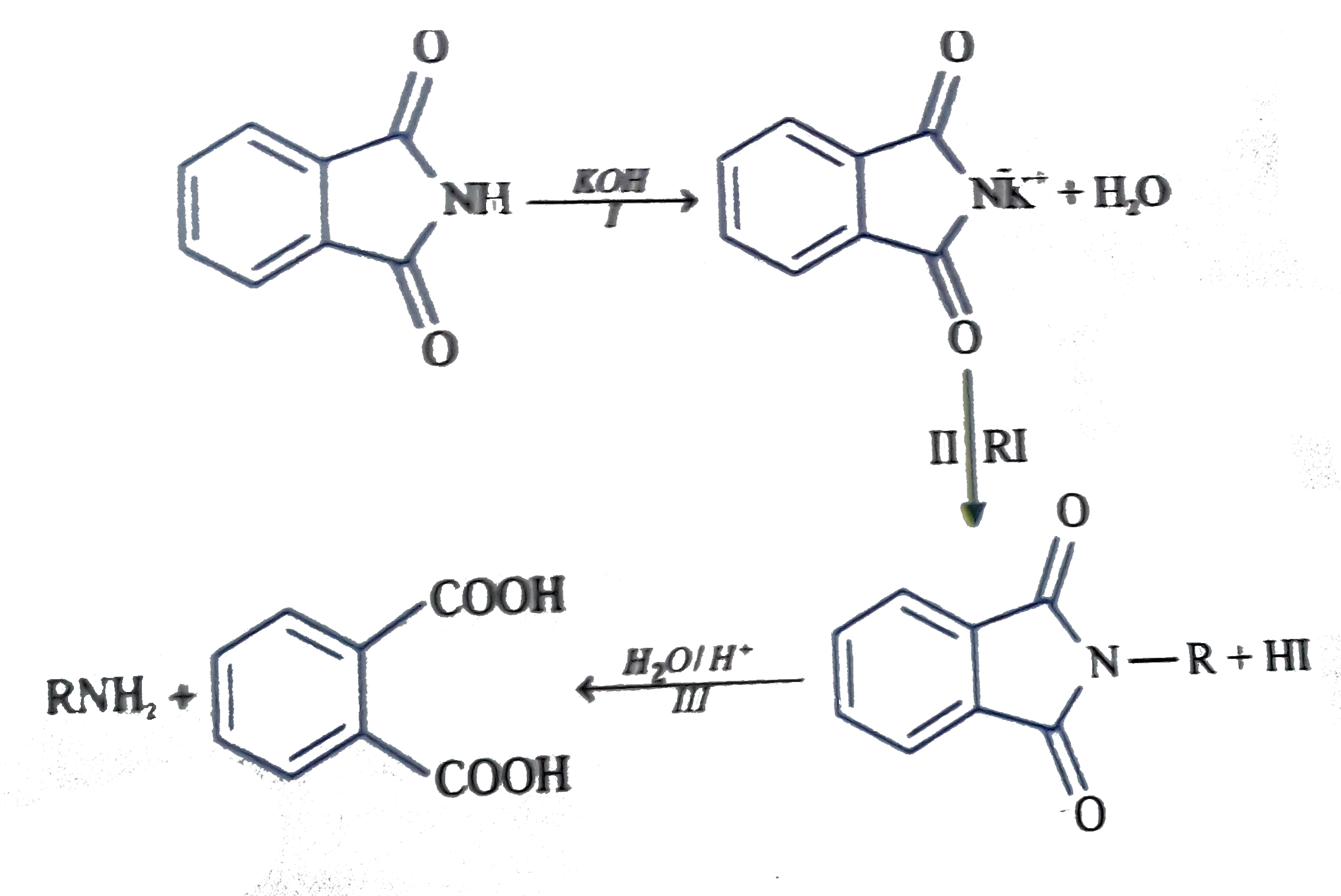 Gabriel phthalimide reaction can be out lined as follows How man