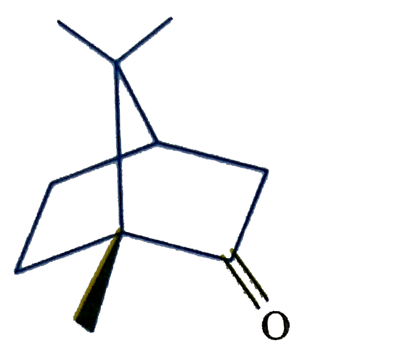 The structural formula given below is that of camphor. Which of the following statements is correct?