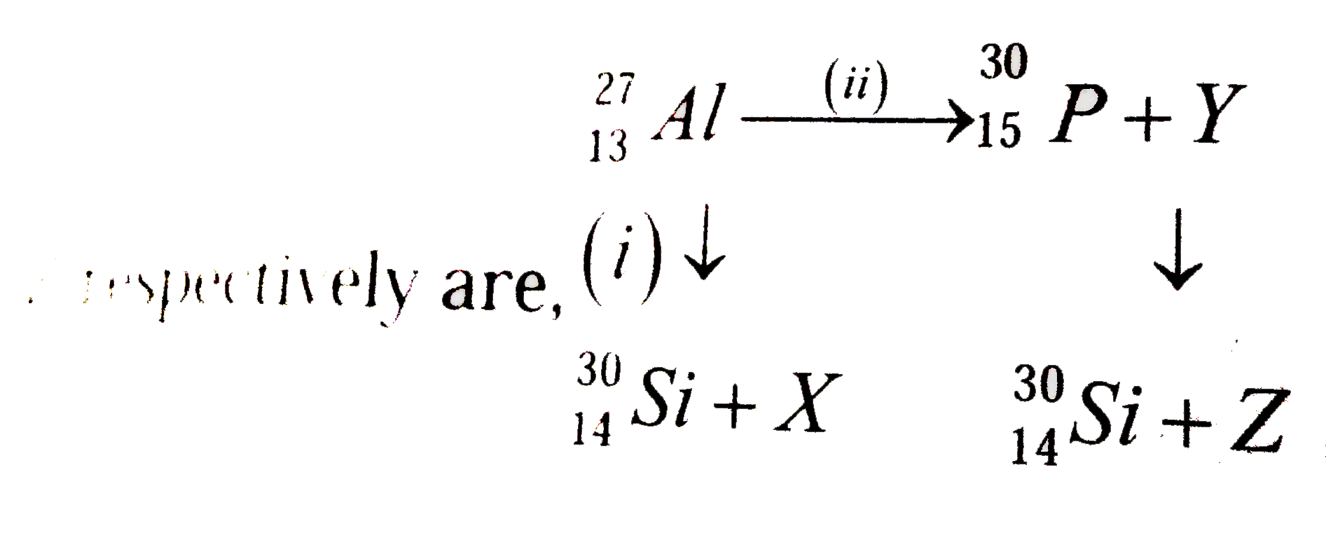 Bombardment of aluminium by alpha-particle leads to its artifical disintegration in two ways, (i) and (ii) as shown. Products X,Y and   Z respectively are