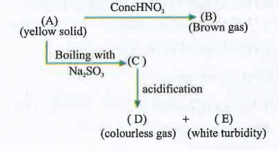 Brown gas B is: