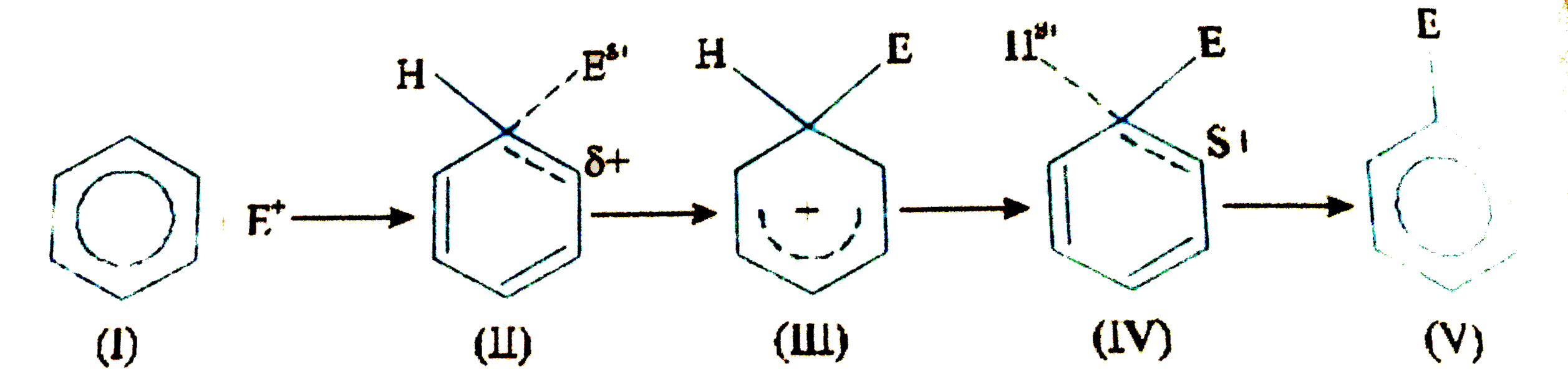 Which of the following species is expected have maximum ethalpy in an electrophilic aromatic substitution reaction.