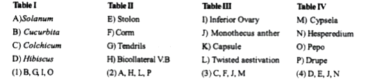 Select the correct match of the following tables