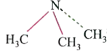 Trimethylamine is a pyramidal molecule   and formamide is a planar molecule  the hybridisation of Nitrogen in both is