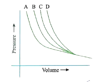 At certain temperature the volume - pressure curves for four gases A , B , C and D are as shown below . The gas that deviates least from ideal nature is
