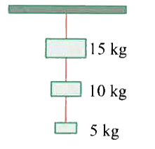 Three masses of 15 kg, 10 kg and 5kg are suspended vertically as shown in the Fig. If the string attached to the support breaks and the system falls freely, what will be the tension in the string between 10 kg and 5kg masses? Take g=10ms^(-2). It assumed that the string remains tight during te motion.
