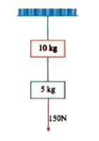 Two masses of 10 kg and 5 kg are suspended from a rigid support as shown in figure. The system is pulled down with a force of 150 N attached to the lower mass. The string attached to the support breaks and the system accelerates downwards.      In case the force continues to act. what will be the tension acting between the two masses ?