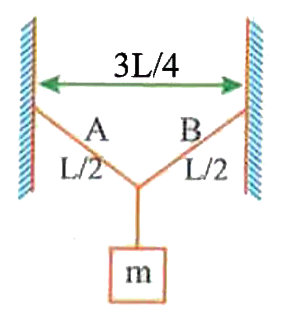 Transverse waves pass through the strings A and B attached to an object of mass 'm' as shown. If mu is the linear density of each of the strings, the velocity of the transverse waves produced in the strings A and B is