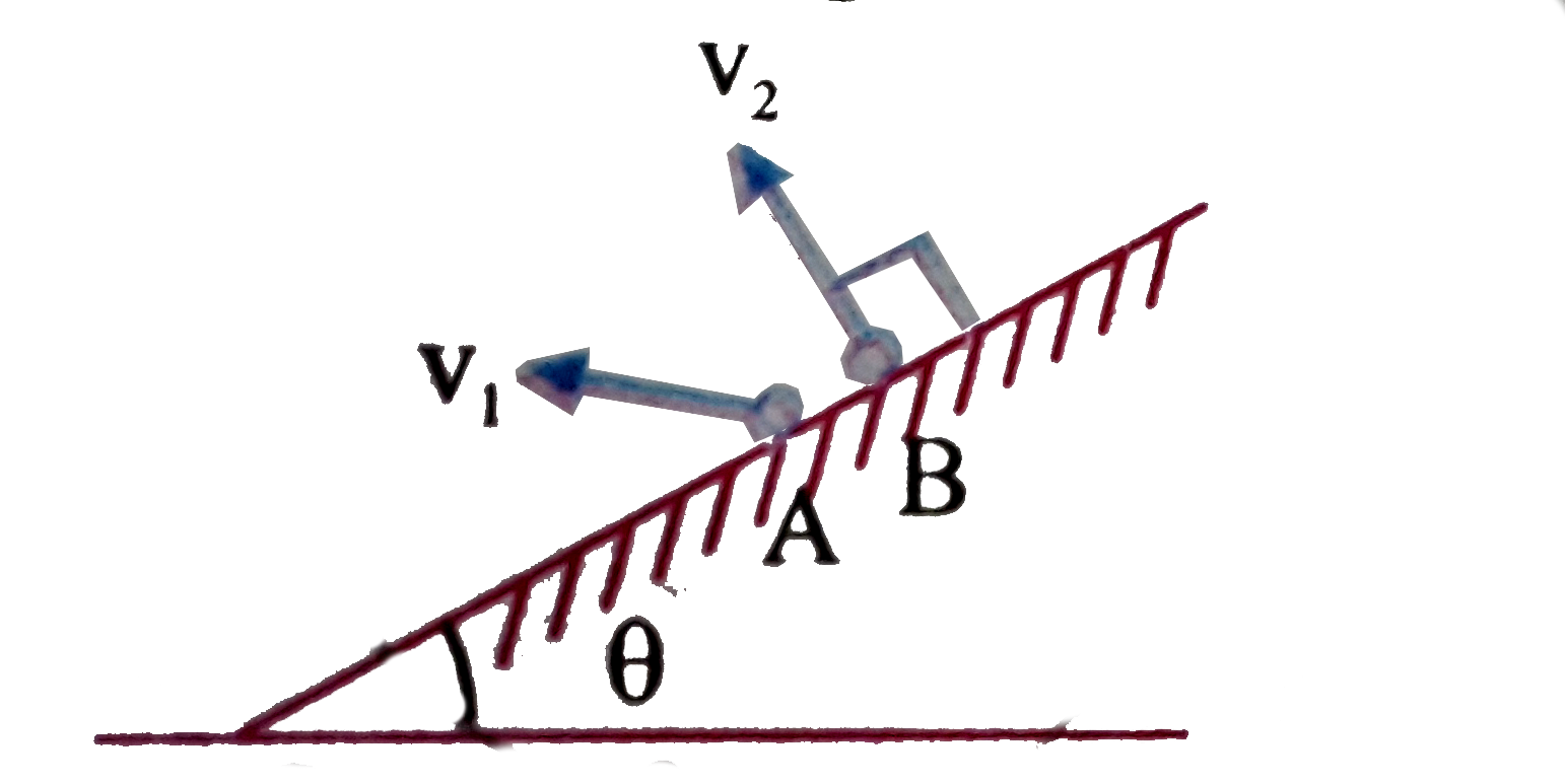 Two bodies A and B are projected from the same place in same vertical plane with velocities v(1) and v(2).Form a long inclined plane as shown Find the ratio of their times of flight.