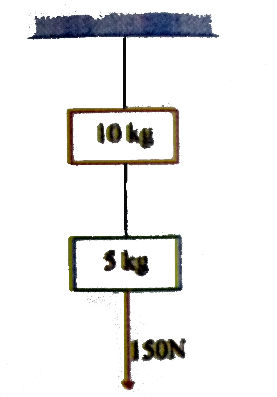 Two masses of 10kg and 5kg are suspended from a rigid support as shown in figure. The system is pulled down with a force of 150N attached to the lower mass. The string attached to the support breaks and the system accelerates downwards      In case the force continues to act. what will be the tension acting between the two masses ? .