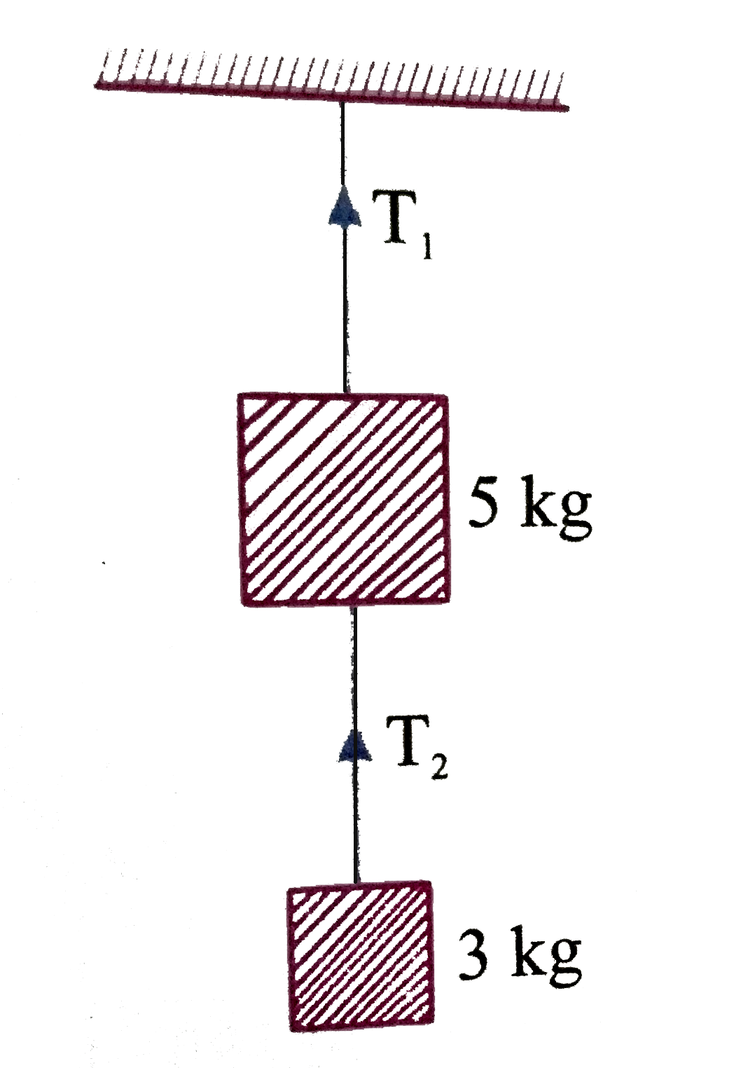 Two masses of 5kg and 3kg are suspended with help of massless inextensible strings as shown in figure. Calculate T(1)and T(2) when whole system is going upwards with acceleration =2m//s^(2) (use g = 9.8 ms^(-2)).