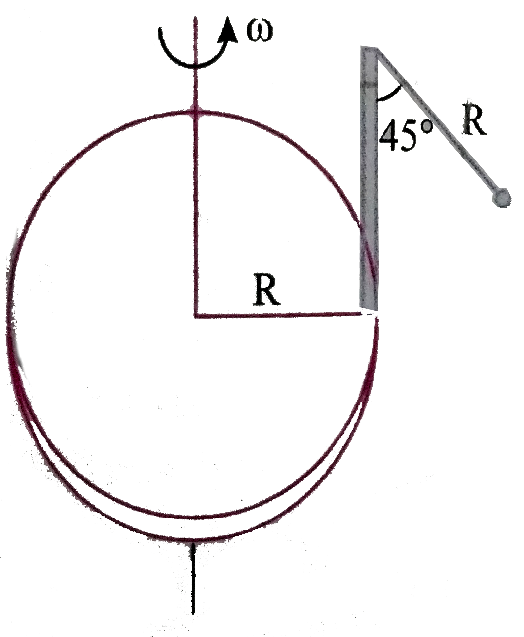 A disc of radius R has a light pole fixed perpendicular to the disc at its periphery which in turn has a pendulum of length R attached to its other end as shown in figure. The disc is rotated with a constant angular velocity omega The string is making an angle 45^(@) with the rod. Then the angular velocity omega of disc is