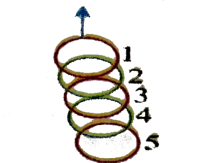 A chain consisting of 5 links each of mass d 0.1 kg is lifted vertically up with a constant acceleration of 2.5m//s^(2).The force of interaction between 1st and 2nd links as shown