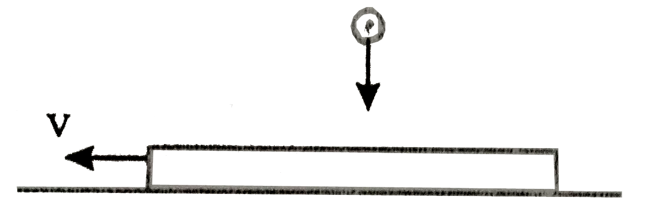 A board is moving with velocity v on a smoother horizontal plane. The upper surface of the board is rough on which a ball falls with velocity v and rebounds with velocity (v)/(2). The mass of the board is same as that of ball. After the collision, the board comes to state of rest. The co-efficient of friction between the board and the ball is