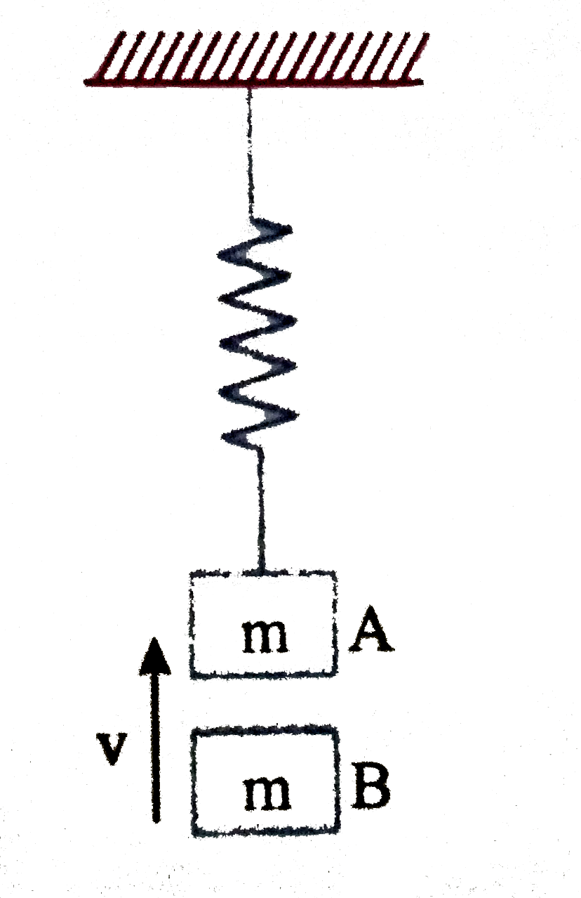 Block A is hanging from vertical spring of spring constant K and is rest. Block B strikes block A with velocity v and sticks to it. Then the value of v for which the spring just attains natural length is