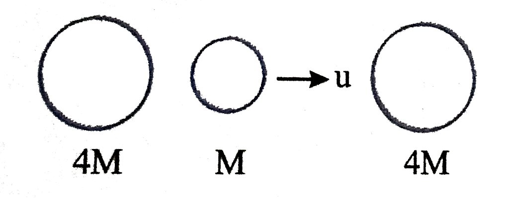 Two Particle of equal masses 4 M are initially at rest. A particle of mass M moving at speed u collide elastically with one of the larger balls. How many collision occure?