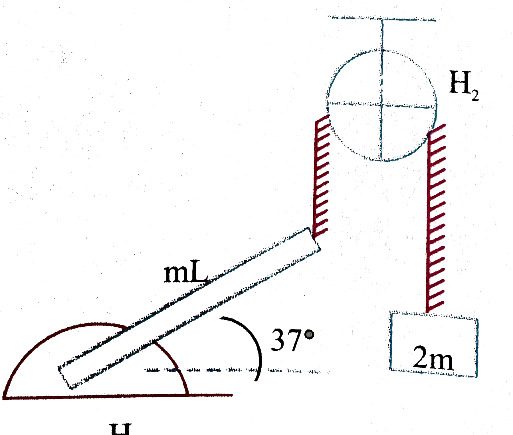 A thin uniform rod of mass m and length L is hinged at one end and from other end a light string is attached. The string is wound over a friction less pulley (having mass 2m) and  a block of mass 2m is connected to string on other side of pulley as shown. the system is released from rest when the rod is making an angle of 37^(@) with horizontal. Based on above information answer the following question :      Just after release of the system from rest acceleration of block is