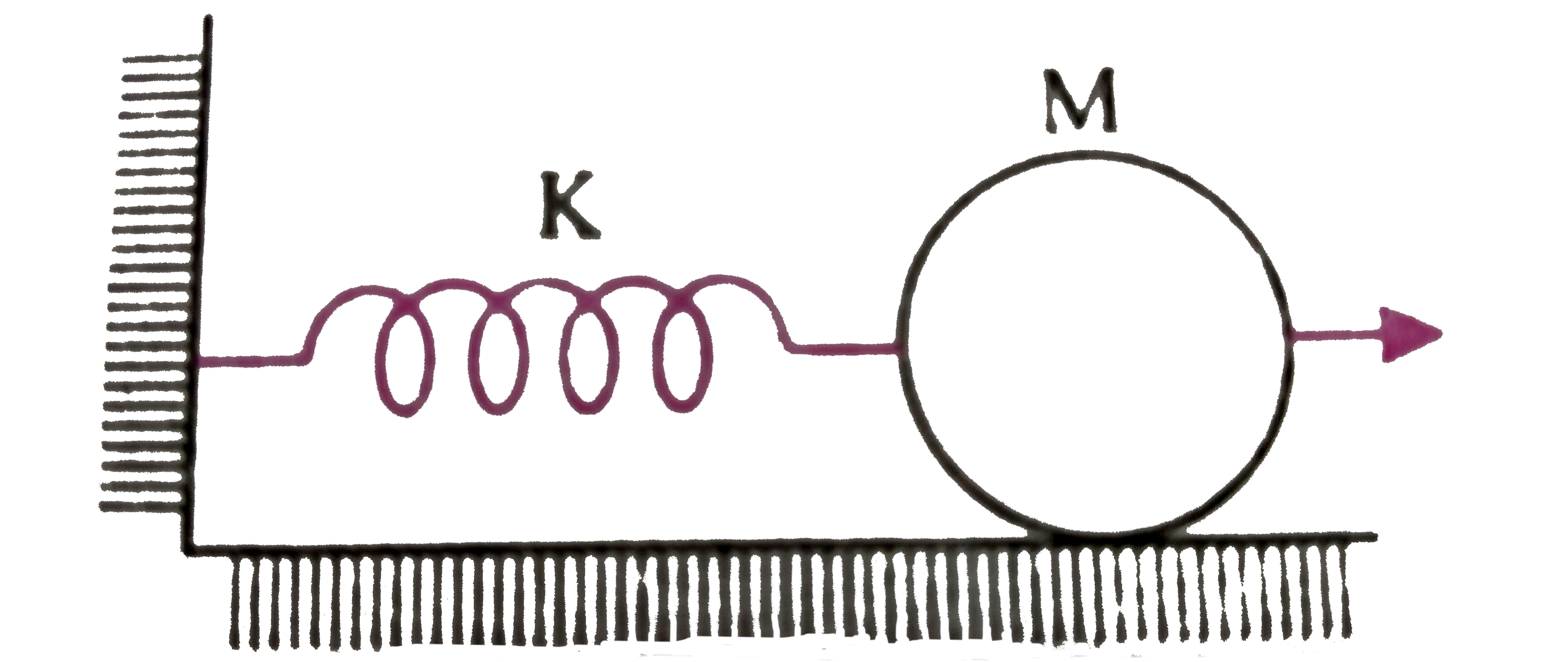 A disc of mass M is attached to a horizontal massless spring of force constant K so that it can roll with out slipping along a horizontal surface. If the disc is pulled a little towards right and then released, its centre of mass executes SHM with a period of