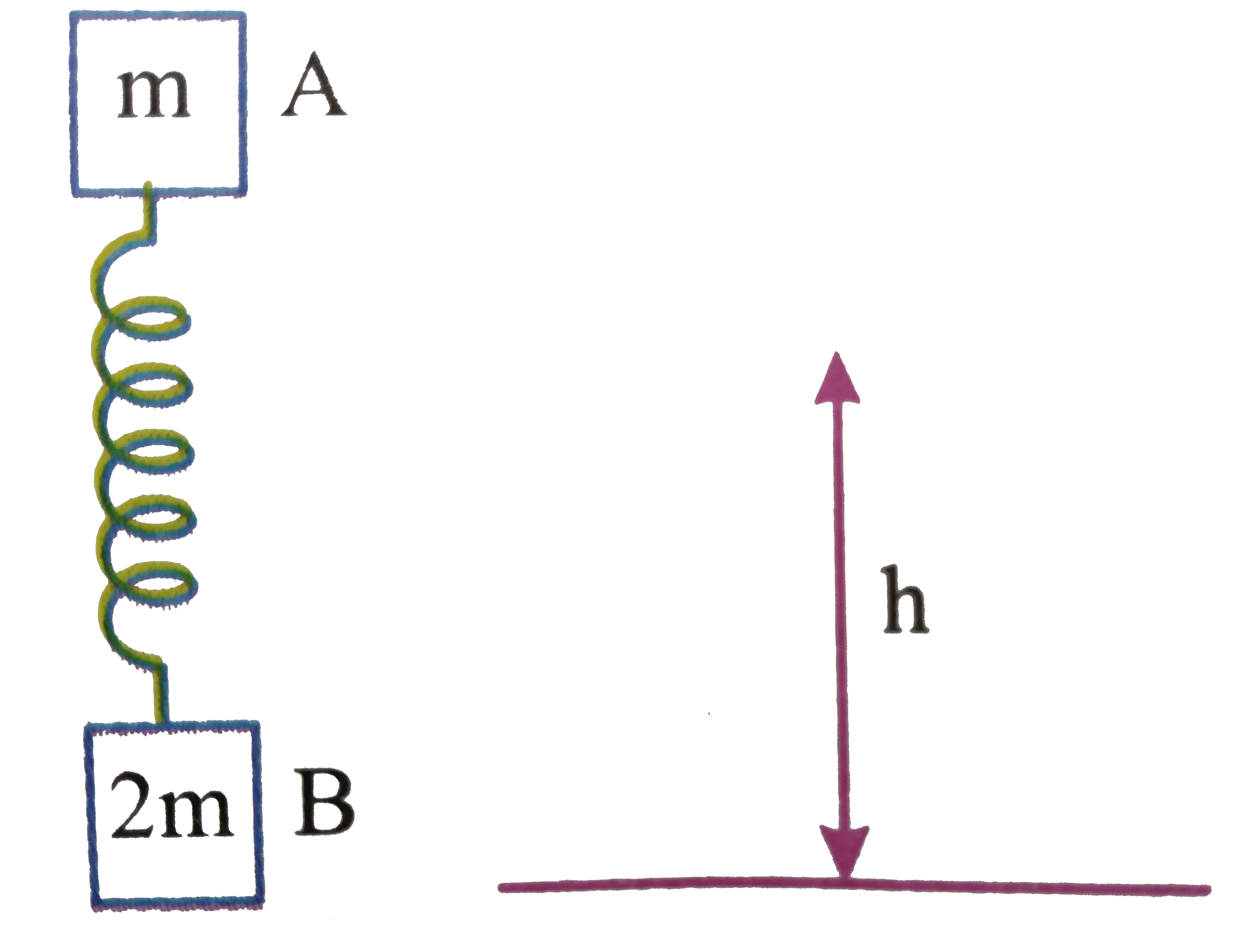 From what minimum height hmust the system be released when spring is unstretches so that after perfectly inelastic collision (e =0) with ground, B may be lifted off the gound: (Spring constant =k)