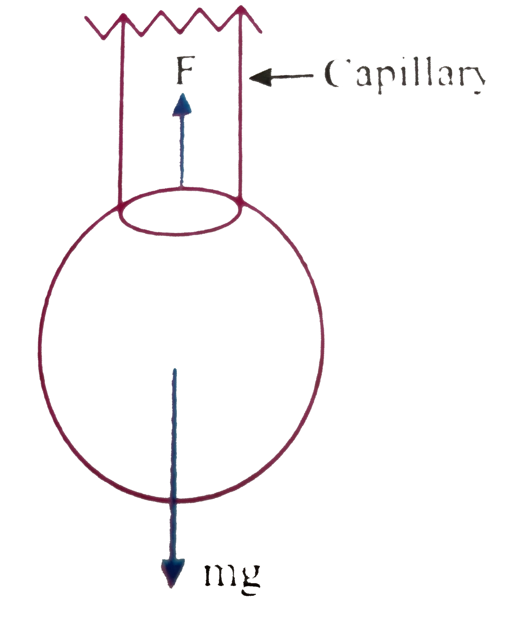 Soapy water drips from a capillary tube. When the drop breaks away, the diameter of its neck is D. The mass of the drop is m. Find the surface tension of soapy? Water?