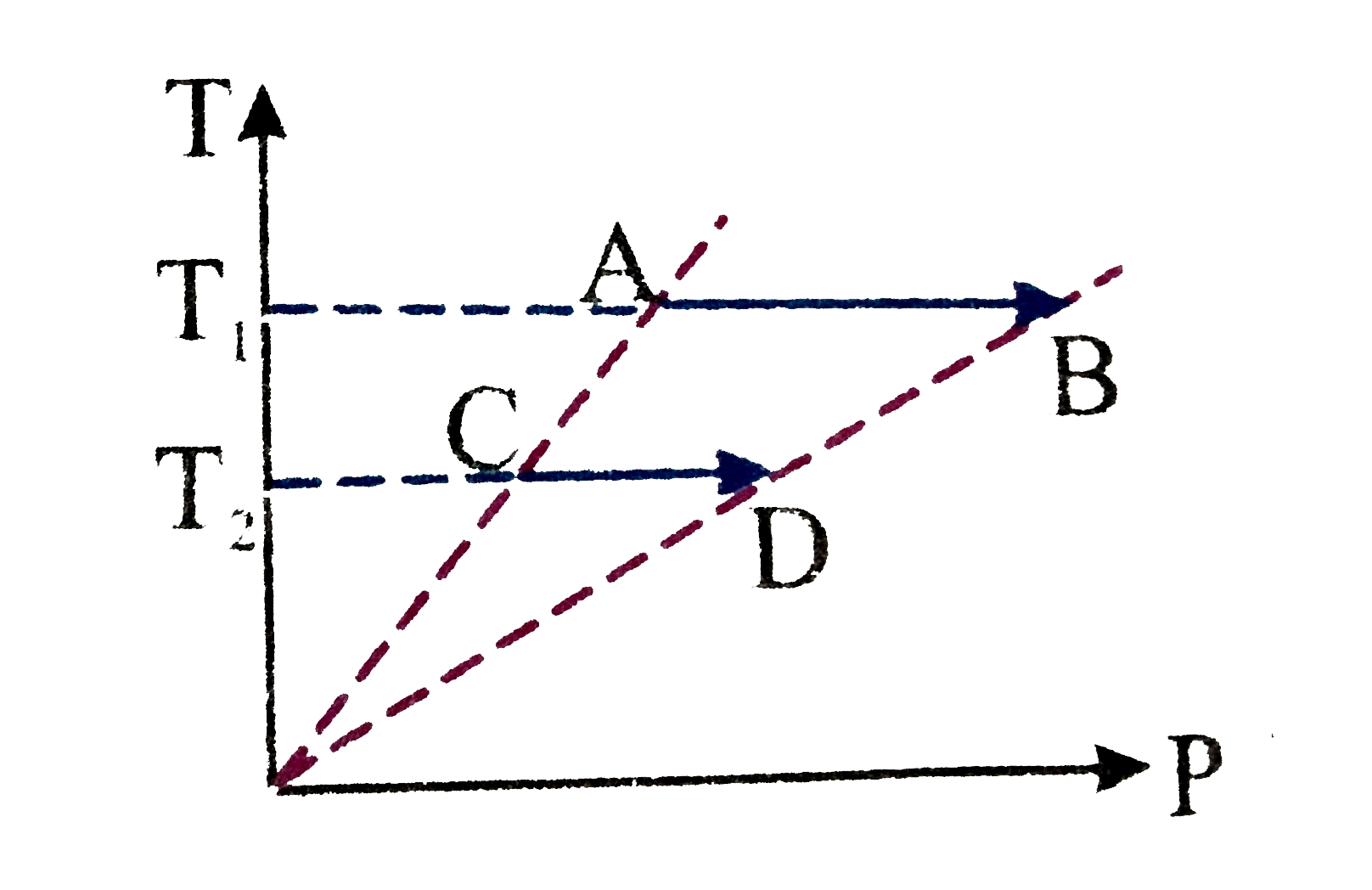 On a T-P diagram, two moles of ideal gas perform process AB and CD. If the work done by the gas in the process AB is two times the work done in the process CD then what is the value of T(1)/T(2)?