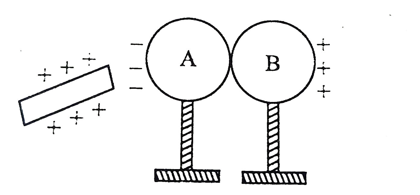 चित्र में दर्शाये अनुसार A और B धातु के दो अनावेशित गोले है।  काँच की एक घड को रेशम के कपडे से रगड़कर गोले  A के पास लाया जाता है  जिससे गोले A और B के चित्ररानुसार आवेश प्रेरित हो जाते है।  बताइये क्या होगा यदि -      बाद में काँच की चढ़ हटा ली जाती है ?