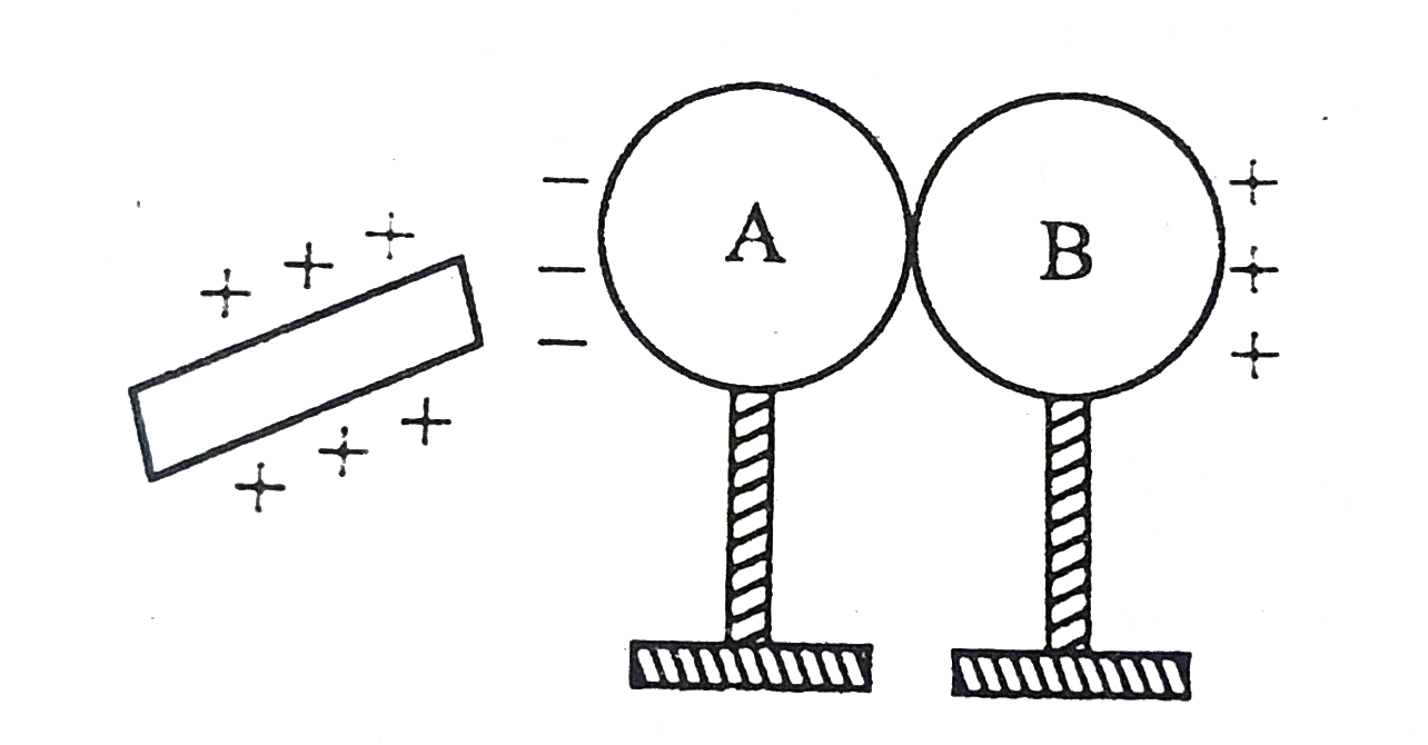 चित्र में दर्शाये अनुसार A और B धातु के दो अनावेशित गोले है।  काँच की एक घड को रेशम के कपडे से रगड़कर गोले  A के पास लाया जाता है  जिससे गोले A और B के चित्ररानुसार आवेश प्रेरित हो जाते है।  बताइये क्या होगा यदि -       गोले दूर हटा दिए जाते है ?