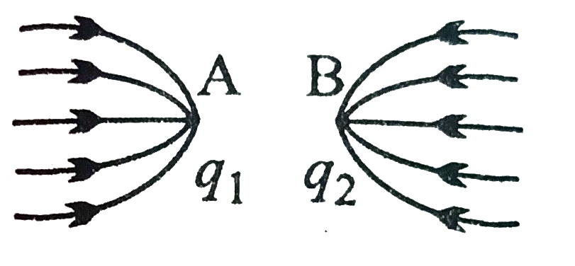 A और B पर स्थित दो बिंदु आवेशों q (1 ) और q (2 ) के लिए क्षेत्र रेखाएँ प्रदर्शित कि गई है।  उनमे आवेश की प्रकृति लिखिए।