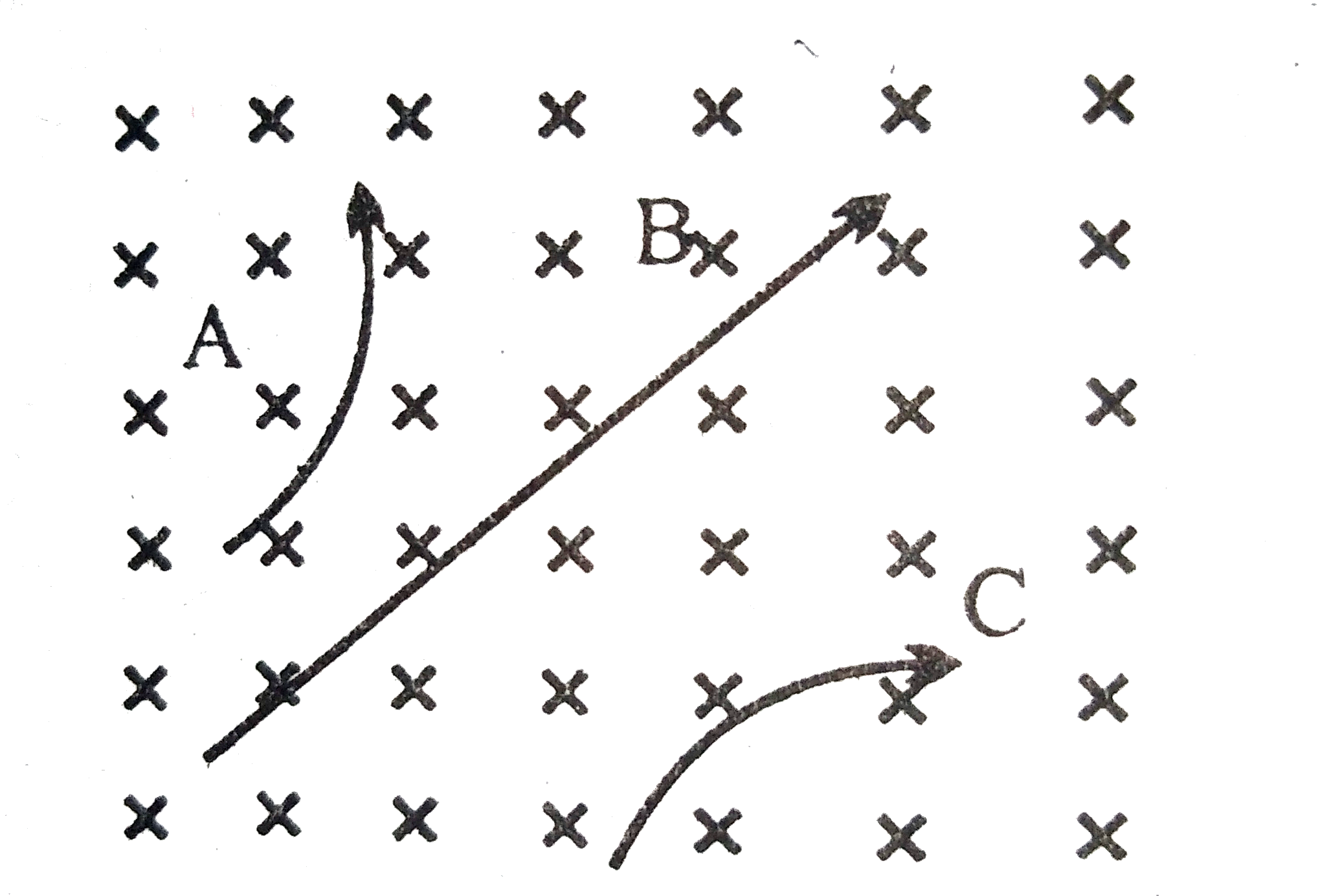 चित्र में एकसमान चुंबकीय क्षेत्र को (X) के द्वारा प्रदर्शित किया गया है यह क्षेत्र कागज के तल के लंबवत नीचे की ओर कार्य करता है। इस क्षेत्र में A, B और C तीन कणों के पथ प्रदर्शित हैं। बताइए किस कण पर कौन-सा आवेश है?