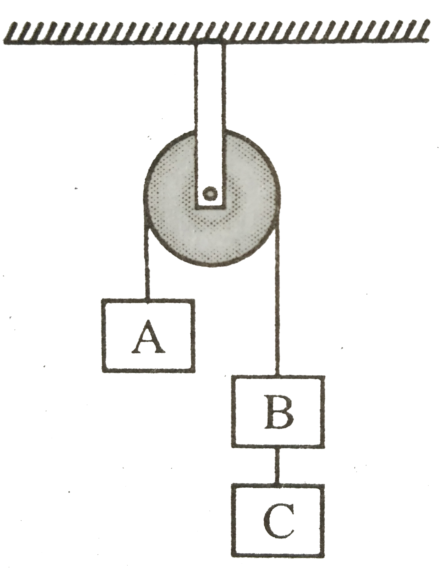 2 किग्रा भार के तीन पिंड A, B व C एक स्थिर घिरनी से होकर जाने वाली डोरी से बँधे हैं । पिंड B और C को जोड़ने वाली डोरी में तनाव होगा -